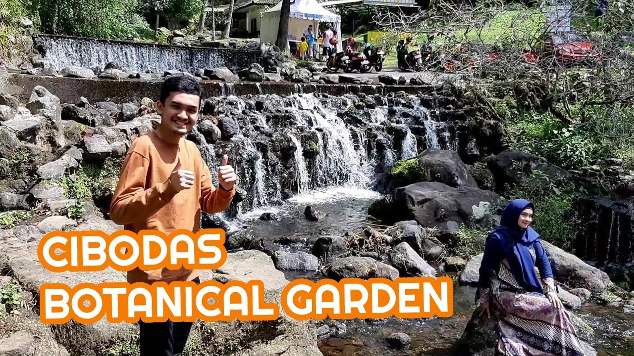 Wisata Alam di KEBUN RAYA CIBODAS // Beli oleh2 khas Bogor 
