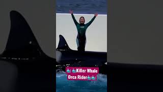 Killer Whale Orca Rider