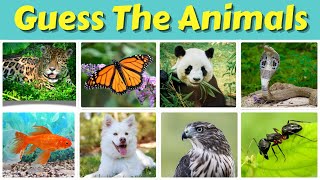 Test Your ANIMAL Knowledge 🐼🦁🦋- Easy, Medium, Hard Levels
