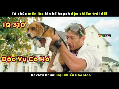 Siêu đặc vụ Cờ Hó đối đầu Mồn Lèo IQ 310 – review phim Đại Chiến Chó Mèo 2023 mới nhất