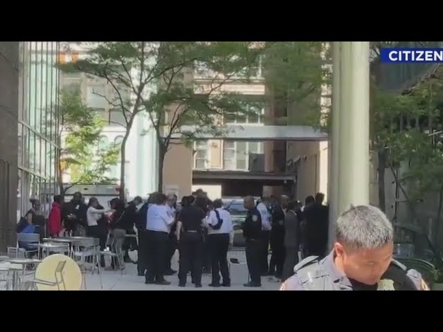 Teen Fatally Shot In The Head On Soho Street Nypd