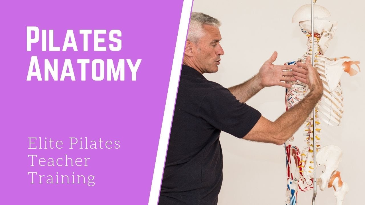 Elite Pilates & Yoga Teacher Training Course - Anatomy teres minor diplomatic security service