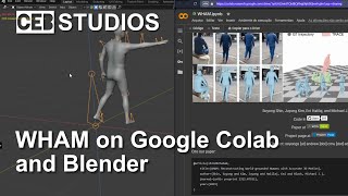 WHAM on Google Colab
