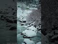 The Heaven of India ( KASHMIR, Sonamarg)