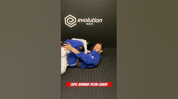 Lapel Armbar From Guard
