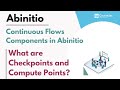 Continuous Flows Components in Abinitio | What are Checkpoints and Compute Points? | Lec - 09