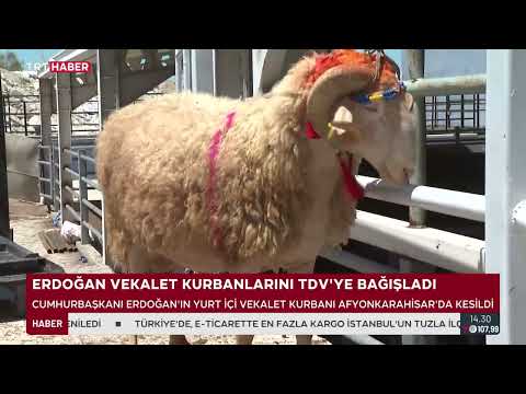 Cumhurbaşkanı Erdoğan'ın yurt içi vekalet kurbanı Afyonkarahisar'da kesildi