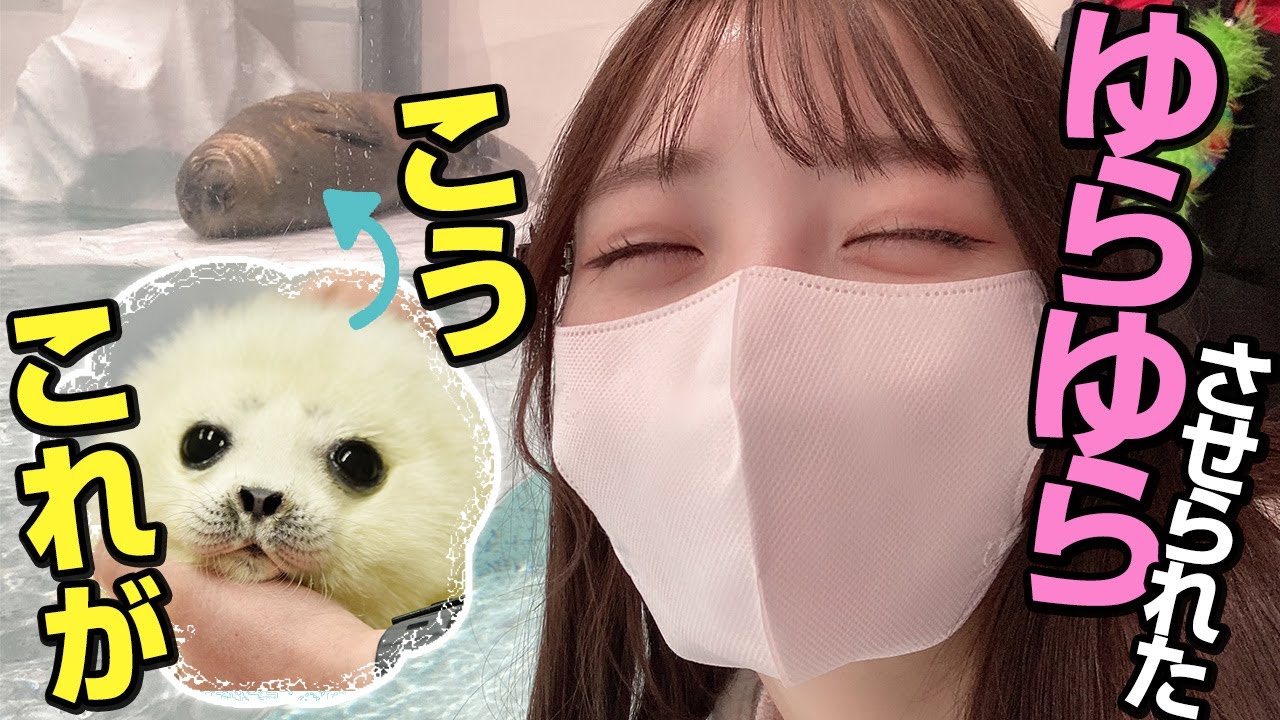 【海遊館】ワモンアザラシのミゾレ君に会ってきた！大阪観光から水族館へ