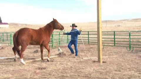 Horse Trailer Loading and Gospel Message - Ruby