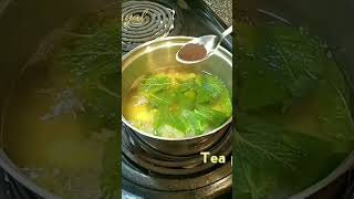 புதினா டீ MintTea/How to make pudina tea/ Refreshing pudina tea shorts youtubeshorts shortsfeed