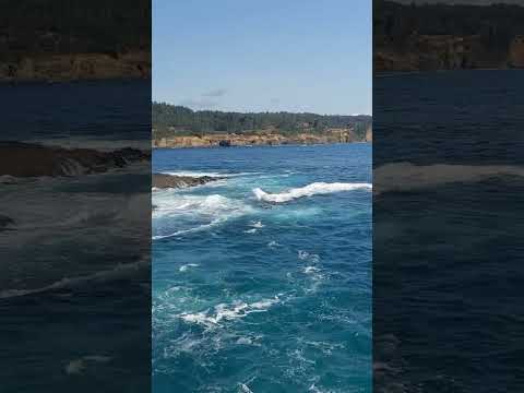 #ocean #beach #beautiful #sea #шортс #море #shorts #short #shortvideo #satisfying #waves #shortfeed