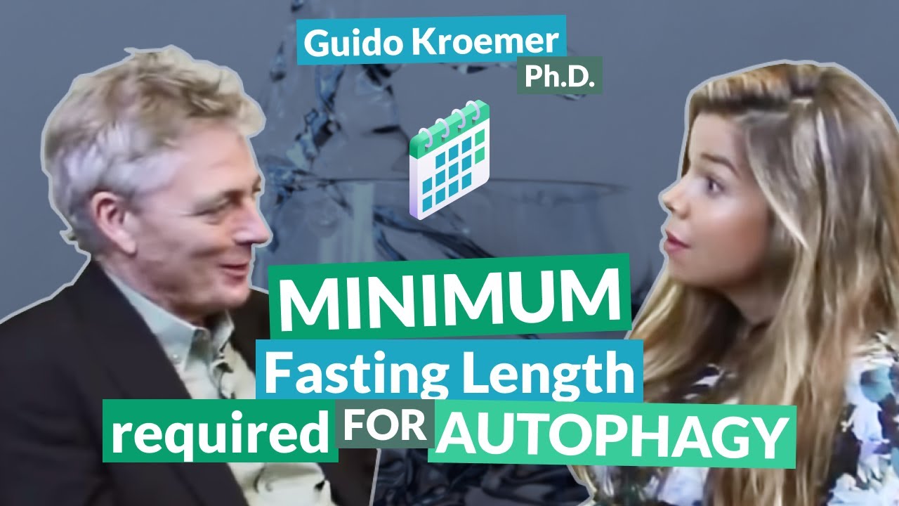 Minimum Fasting Length Required For Autophagy | Guido Kroemer