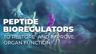 Peptides