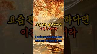 〈불교 명언 · 불안 해소 · 마음치유〉 불안한 시대, 마음을 단단히 지키는 법   #불교명언 #불안해소 #명상 #불교가르침 #법구경 #마음치유 #금빛연꽃