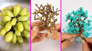15 crafts ideas for making indoor decoration flowers