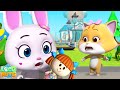 Fight for doll comedy cartoon for babies by loco nuts