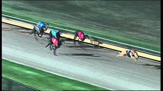 WBL THU 04 DEC 14 R11