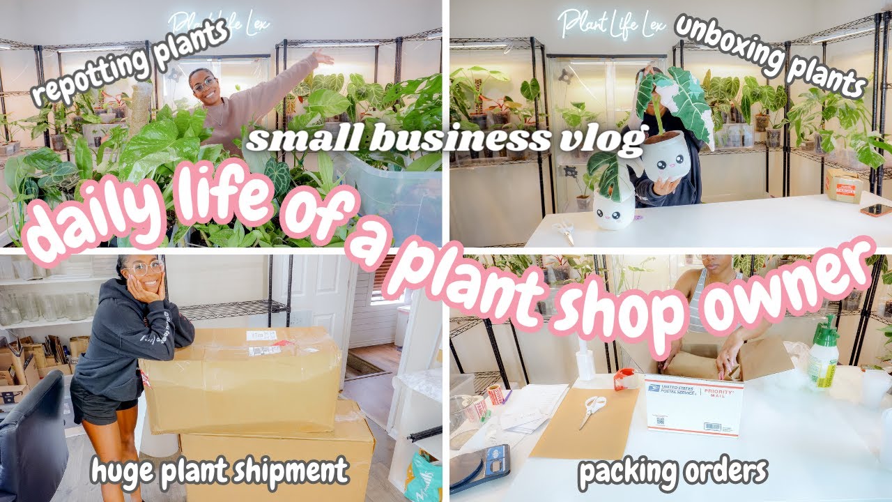 Running A Rare Plant Shop From Home Restocking My Shop, Huge Rare