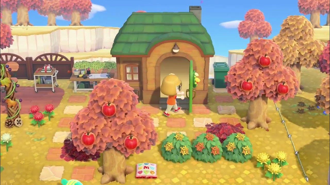 Happy Home Paradise 106 A Study Space for Nibbles YouTube