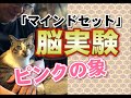 脳実験・ピンクの象