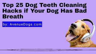 Top 25 Dog Teeth Cleaning Hacks if Your Dog Has Bad Breath