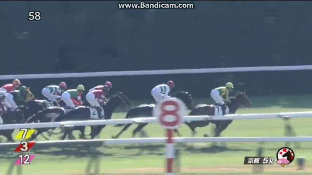 エアシャカール 現地ハズレ 新馬戦