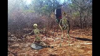 Skeleton warriors Attacks Me