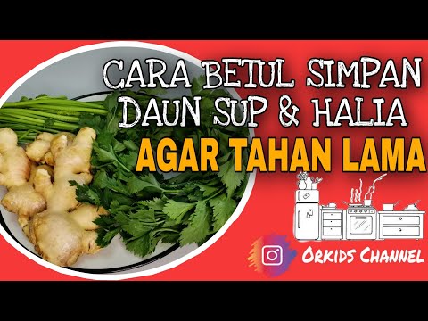 CARA BETUL SIMPAN DAUN SUP & HALIA AGAR TAHAN LAMA