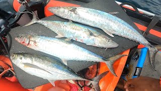 VLOG153 - STRIKE TENGGIRI MINI STOCK IKAN MASIN