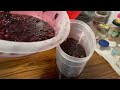 How to make Grape Wine at Home IMG 0754