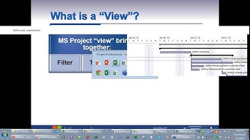 Revealing the Secrets of MS Project