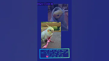 بنر پیج اینستاگراممون 