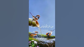 سورة الناس #القرآن_الكريم #اكسبلور #سورة_الناس