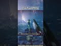 Destiny 2 Winnower Secret Scene!