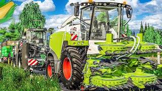 MAIS HÄCKSELN 1/3: Auftakt in Talbach: CLAAS Jaguar und KRONE BigX rollen an! | FARMING SIMULATOR 19 screenshot 5