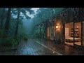 Rain and Soft Wind – Relaxing Night Ambience for Deep Rest and Mental Balance