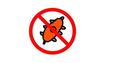 NO BOSS SHIPS IN DOBLONS.IO! (Doblons.io Funny Moments)