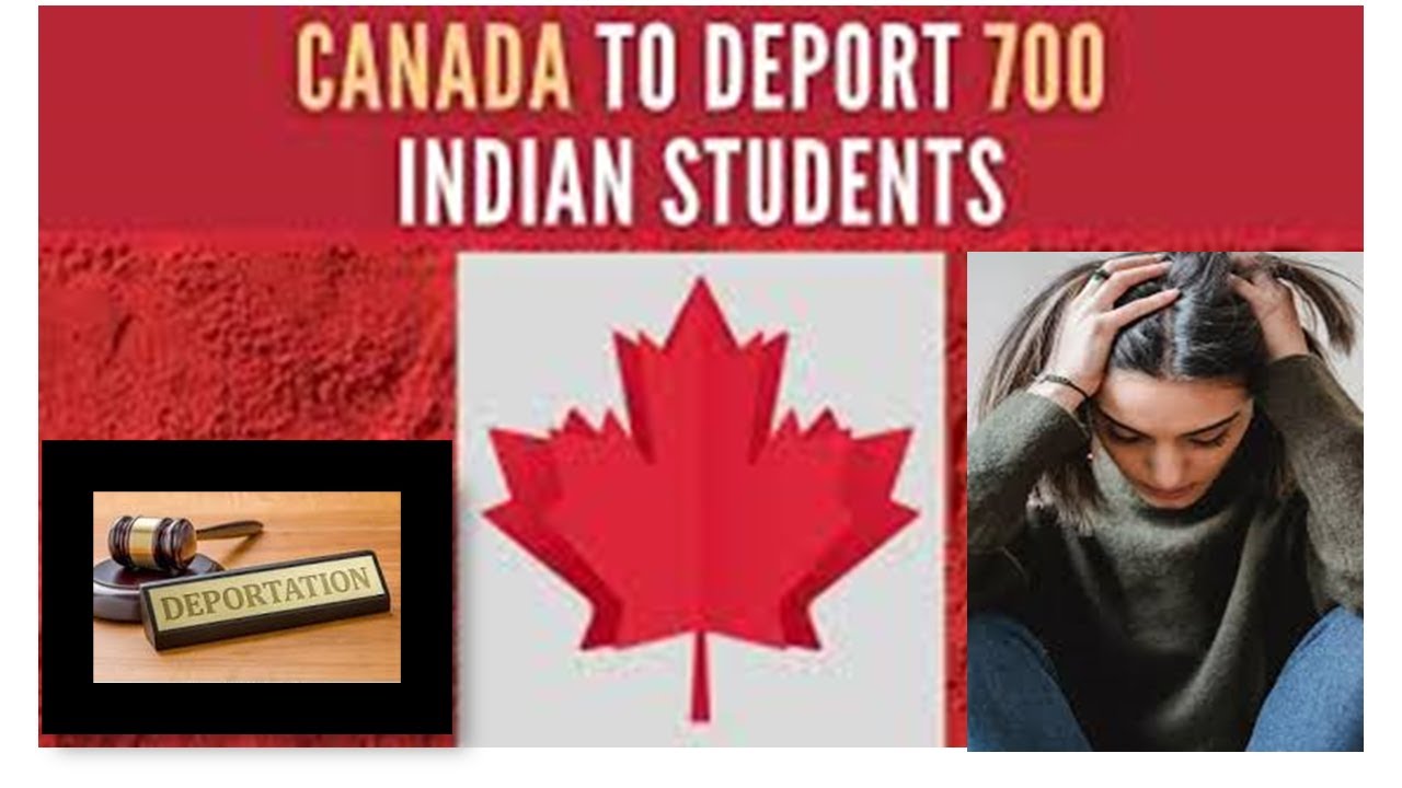 BREAKING NEWS CANADA DEPORT||700 STUDENTS||FAKE ADMISSION IN CANADIAN COLLEGES 2023