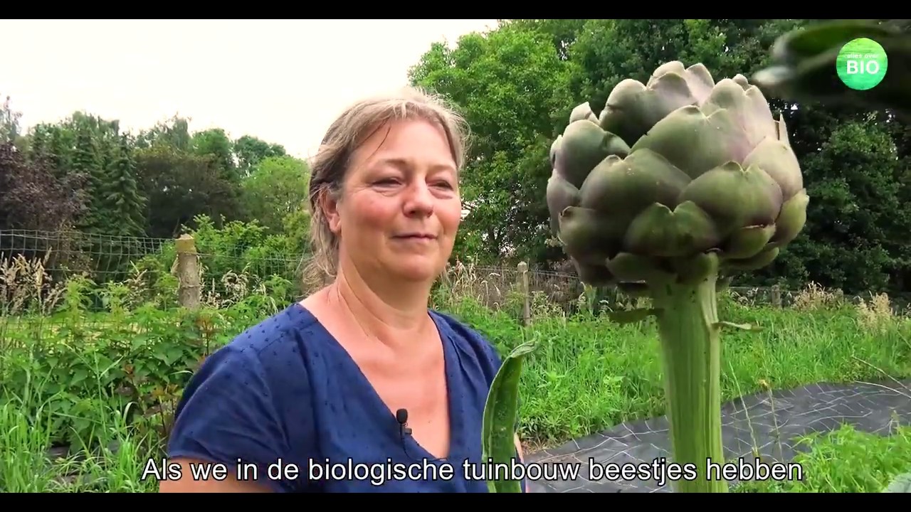 Alles over bio - YO DE BEULE van DUIZENDBLAD