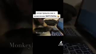 Когда пришло SMS о начислении ЗП