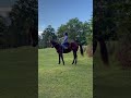 Consistency #horse #horsetraining #barrelracing #hardwork #consistency #motivationalquotes