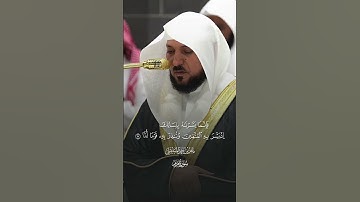 اواخر سورة مريم بالأداء الشهير تلاوه هادئه الشيخ #ماهر_المعيقلي
