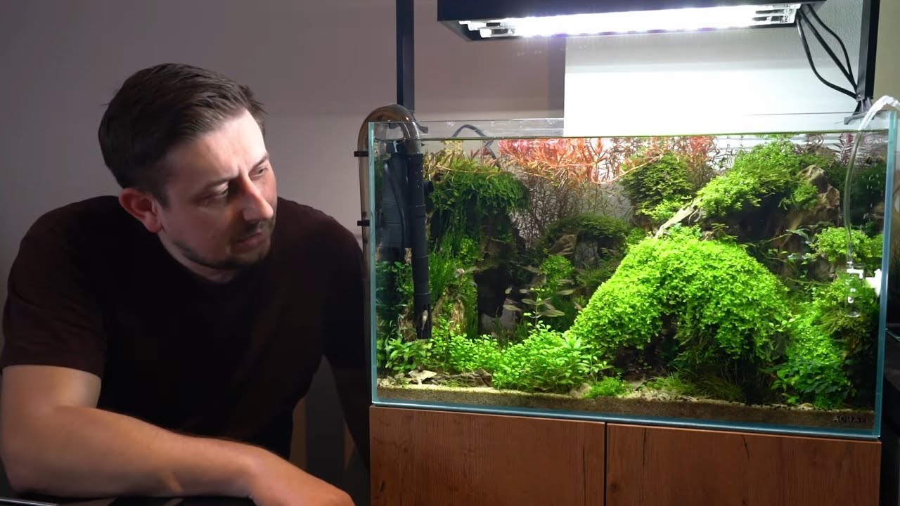 Jak stříhat rostliny v akváriu?