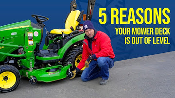 5 REASONS WHY YOU