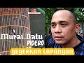 Murai Batu Pidero Gegerkan Di Lapangan Ronggolawe Binjai Mp3 - Mp4 Download