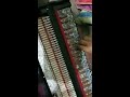 80 years old german jubilate harmonium