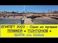 ЕГИПЕТ МОРЕ 2020 / ПЛЯЖ и РИФ отеля Otium Family Amphoras Beach Resort / пляж SHORES AMPHORAS / Шарм