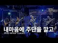 내 마음에 주단을 깔고 - Topchoice (탑초이스) Live @ 2025 Winter Concert 🎸🔥