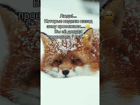 Люди!...Которые неделю назад зиму провожали....🥺