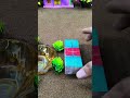 Mini Home Animal Water Pump Trector video #minitractor #waterpump #home #shorts